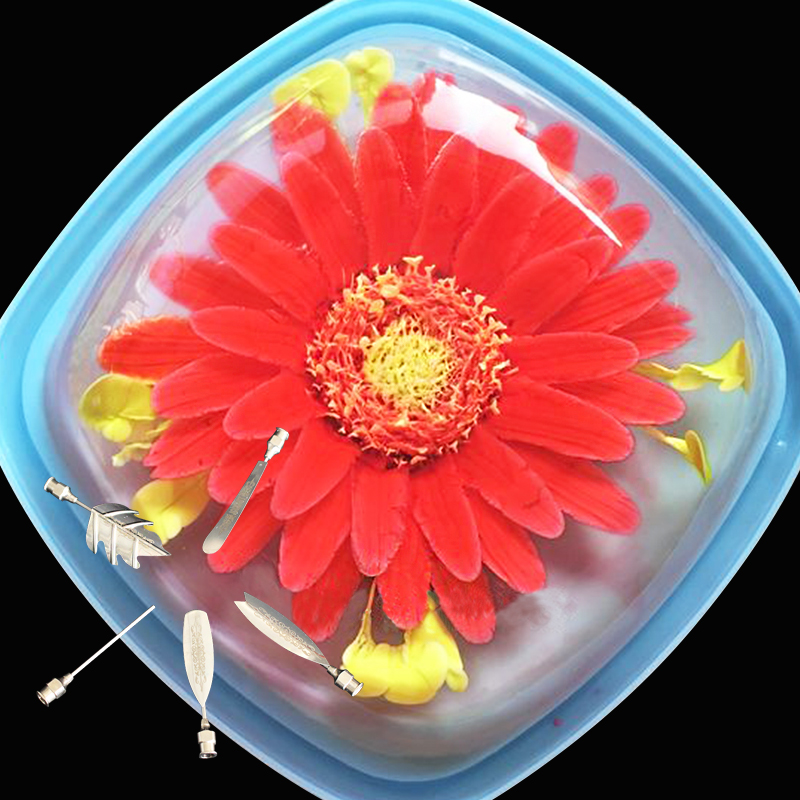 3Д квіти у желе
