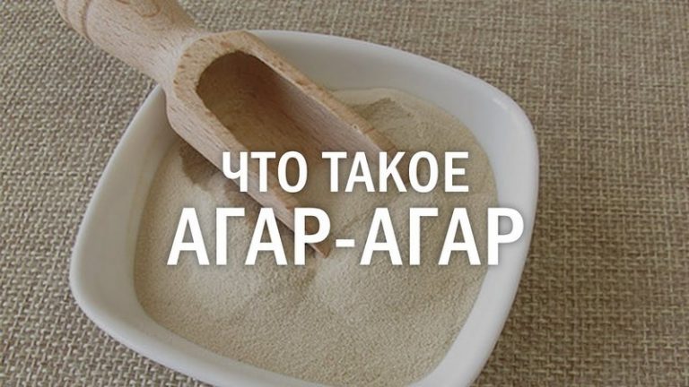 что такое агар агар