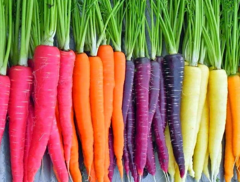 международный день моркови